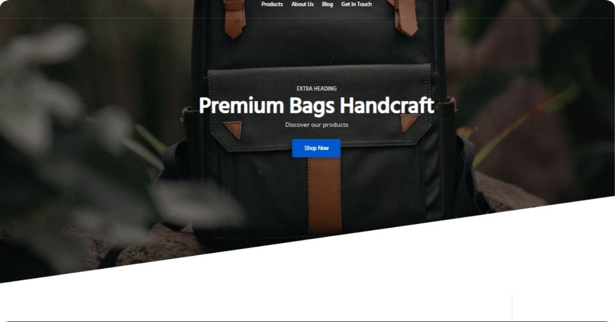 Bag eCommerce Store